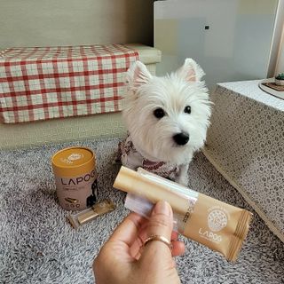 jj스타일님이 올린 리뷰 사진 1