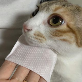 윤넬리나님이 올린 리뷰 사진 4