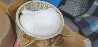0.8L 마케팅팀 - — 5점을 준 리뷰어가 2021년 5월 올린 사용 사진