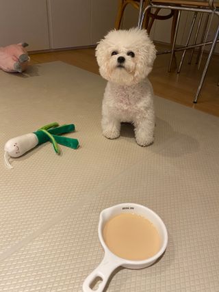 순애님이 올린 리뷰 사진 1