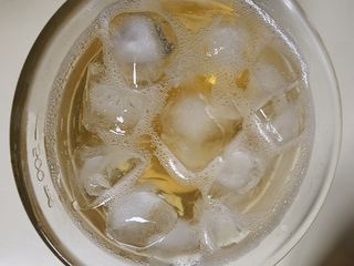 달람하리 DALAMHARI [미.친.탄.산.] 과즙 듬뿍 청량한 탄산 습관 15kcal 슈퍼콤부차 (오미자 / 유자 / 매실 택1) — 5점을 준 리뷰어가 2022년 8월 올린 사용 사진