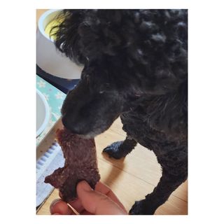 로와님이 올린 리뷰 사진 2