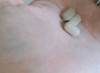 슬림플래닛 녹차카테킨 500mg 애프터밀 — 5점을 준 리뷰어가 2021년 8월 올린 사용 사진