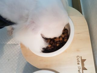 빛날Hwan님이 올린 리뷰 사진 3