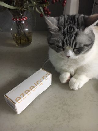 케이트25님이 올린 리뷰 사진 1