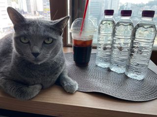 몽베스트 [MONTBEST]위드어스 500mL 20병 — 5점을 준 리뷰어가 2022년 9월 올린 사용 사진