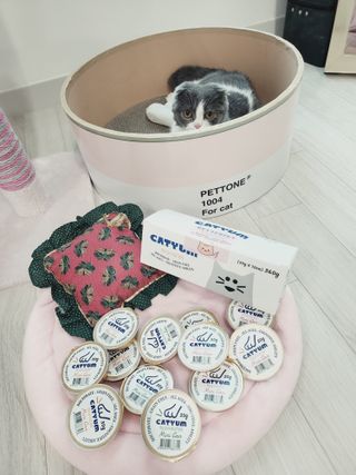 날씬이클디님이 올린 리뷰 사진 2