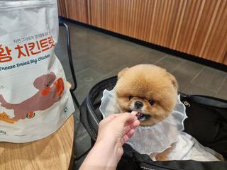 아롱이님이 올린 리뷰 사진 3
