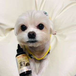 뱁새♥︎님이 올린 리뷰 사진 3