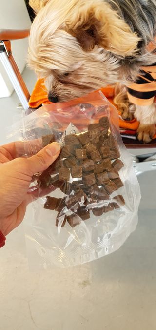 My Pet Care 천연단백질 관절건강에 개좋아 — 5점을 준 리뷰어가 2021년 2월 올린 사용 사진