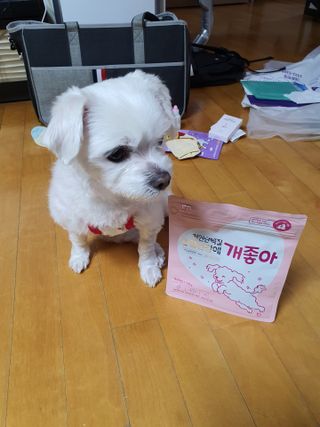 My Pet Care 천연단백질 관절건강에 개좋아 — 5점을 준 리뷰어가 2021년 3월 올린 사용 사진