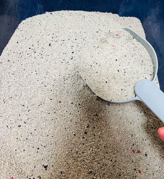 소중한하루를보내여님이 올린 리뷰 사진 3