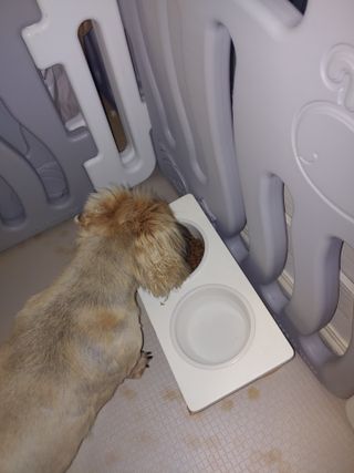 정현균님이 올린 리뷰 사진 4