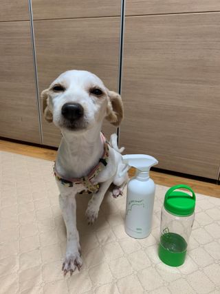 꾸루쿡님이 올린 리뷰 사진 1