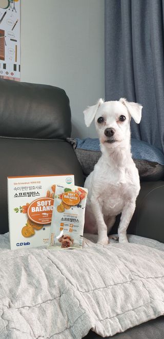 씨디랩 속이 편한 강아지 사료 소프트발란스 기호성 좋은 발효사료 피부와 위장 관절과 위장 — 2.5점을 준 리뷰어가 2021년 3월 올린 사용 사진
