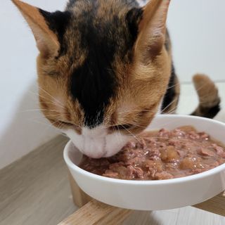 루나님이 올린 리뷰 사진 1