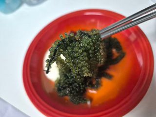 [피터씨마켓] 바다포도 100g(20g x 5봉) 우미부도 그린캐비어 ASMR 소분포장 — 5점을 준 리뷰어가 2024년 8월 올린 사용 사진