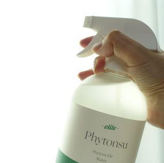 올라잍 편목수 피톤치드 스프레이 — 5점을 준 리뷰어가 2022년 10월 올린 사용 사진