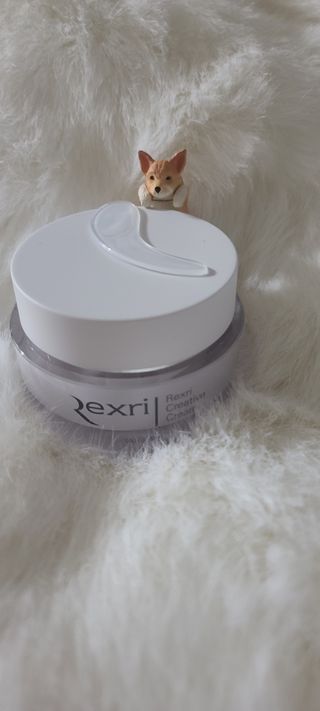 렉스리 크리에이티브 크림  Rexri Creative Cream — 5점을 준 리뷰어가 2021년 10월 올린 사용 사진