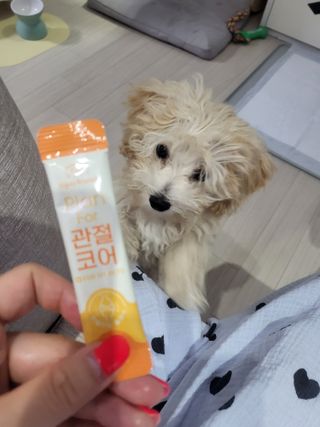 비쥬프렌즈 플랜 포 관절코어 — 5점을 준 리뷰어가 2022년 8월 올린 사용 사진