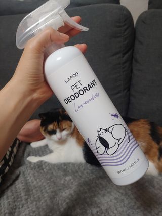 홍제이님이 올린 리뷰 사진 3