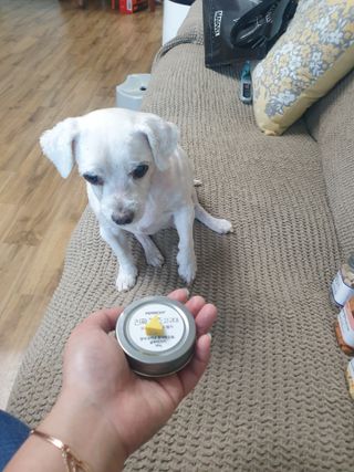 진진이님이 올린 리뷰 사진 3