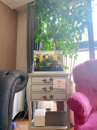 창신리빙 [프랑코 스마트 마스크·물티슈 보관함 오픈캡형] 똑똑한 정리 수납 — 5점을 준 리뷰어가 2021년 7월 올린 사용 사진
