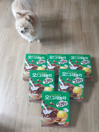 맹고님이 올린 리뷰 사진 1