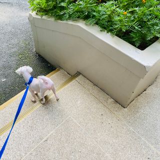 뽀히님이 올린 리뷰 사진 1