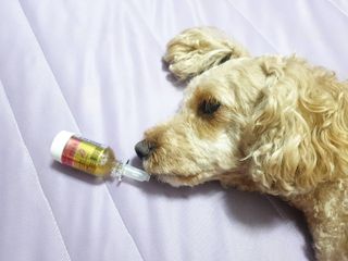 란아님이 올린 리뷰 사진 1