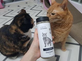 솔탄이love님이 올린 리뷰 사진 3