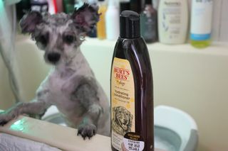 김이설님이 올린 리뷰 사진 3