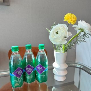 몽베스트 Montbest with Sparkling water Plain 20병 — 4.5점을 준 리뷰어가 2023년 3월 올린 사용 사진
