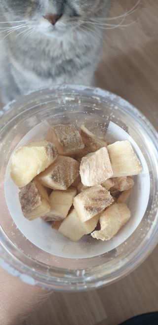 부르르펫 야미트릿 틸라피아 60g — 5점을 준 리뷰어가 2021년 11월 올린 사용 사진