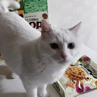 진진님이 올린 리뷰 사진 1