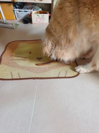 Lovelysu님이 올린 리뷰 사진 1