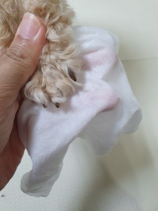 아코맘님이 올린 리뷰 사진 3
