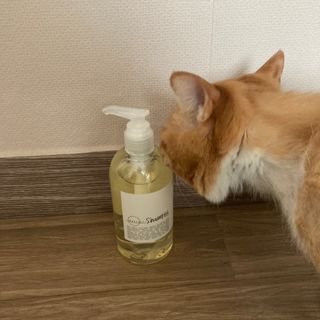 진진이님이 올린 리뷰 사진 1