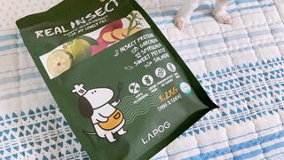 [푸디웜] 라포그  리얼인섹트 웨이트밸런스 저알러지 강아지 사료  1.2KG — 5점을 준 리뷰어가 2021년 7월 올린 사용 사진