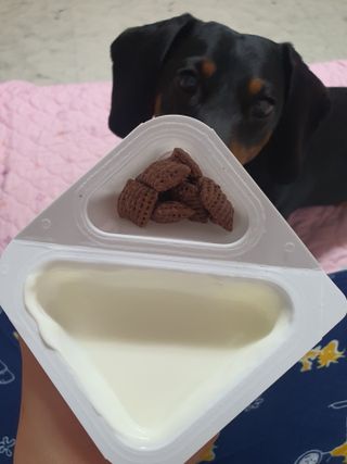 히이잇님이 올린 리뷰 사진 3