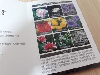 mm님이 올린 리뷰 사진 3