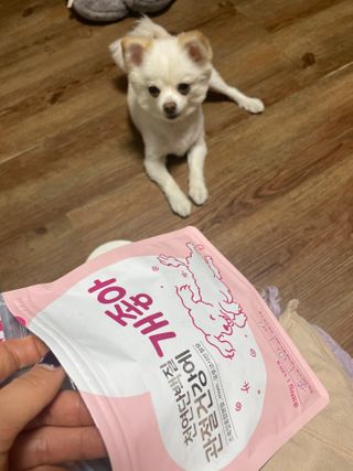My Pet Care 천연단백질 관절건강에 개좋아 — 5점을 준 리뷰어가 2021년 2월 올린 사용 사진