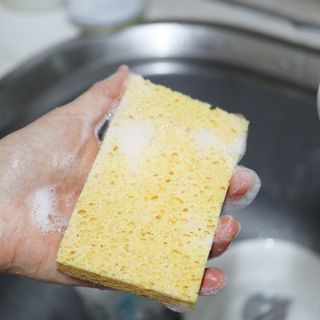 에티튜드 천연 젖병세정제 무향 700ml 1종 주방세제 EWG올그린 순한 비건 세제 — 5점을 준 리뷰어가 2022년 8월 올린 사용 사진