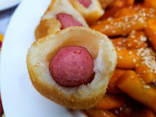 Dog&Ball 독앤볼 독앤볼 떡볶이 키트 — 5점을 준 리뷰어가 2021년 12월 올린 사용 사진