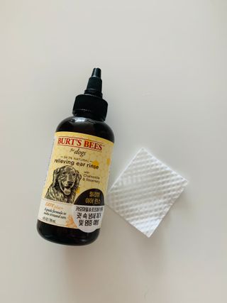 오둥이맘님이 올린 리뷰 사진 1