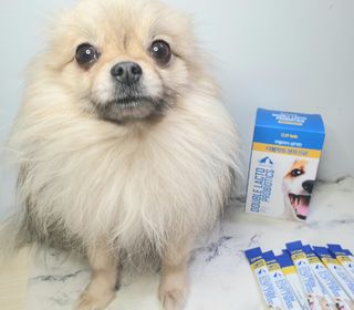 씨디랩 장 건강과 구강 건강을 한 번에 더블락토 강아지 고양이 유산균 — 5점을 준 리뷰어가 2021년 1월 올린 사용 사진