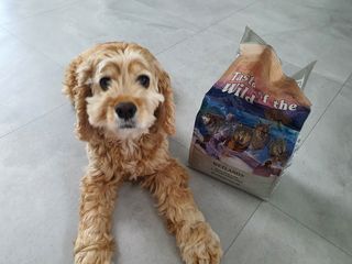 찬이애비님이 올린 리뷰 사진 1