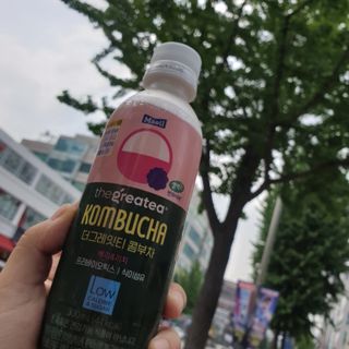 더그레잇티 콤부차 [매일유업] 더그레잇티 44kcal 콤부차 300ml *12개입 (오리지널 6개+베리리치 6개) — 5점을 준 리뷰어가 2023년 8월 올린 사용 사진