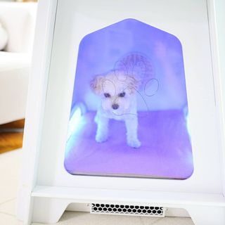 멍멍언니님이 올린 리뷰 사진 4