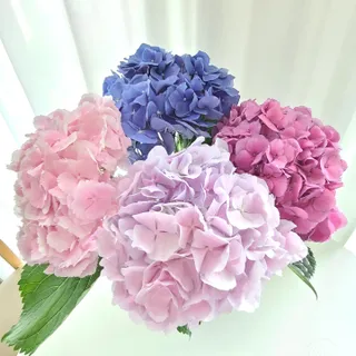바람꽃님이 올린 리뷰 사진 2